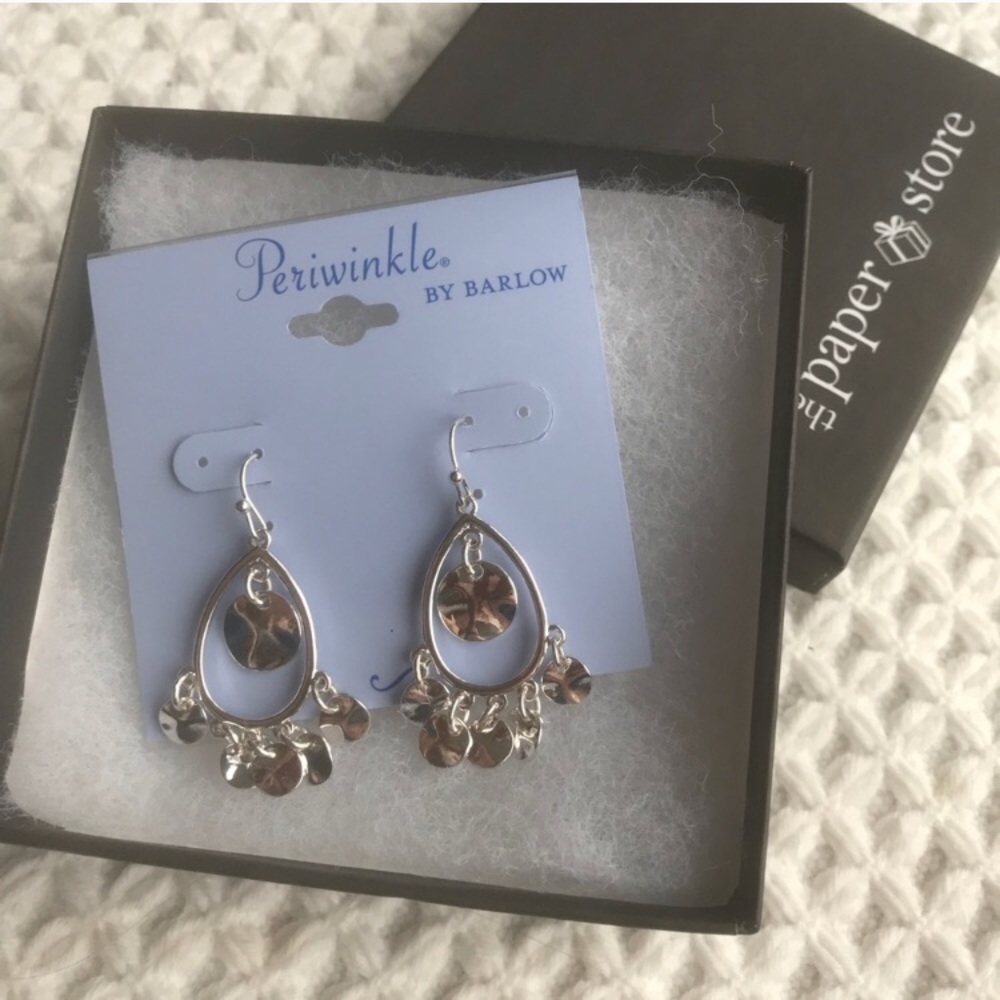 NWT Silver Dangle Earrings